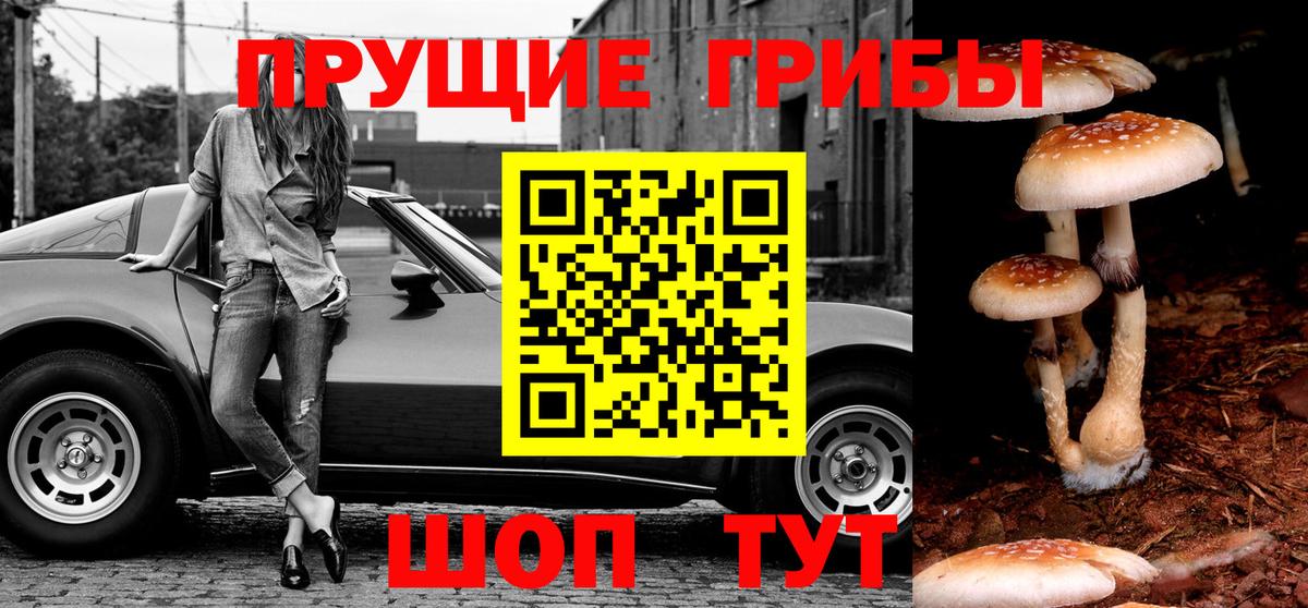 Галлюциногенные грибы мухоморы Мытищи