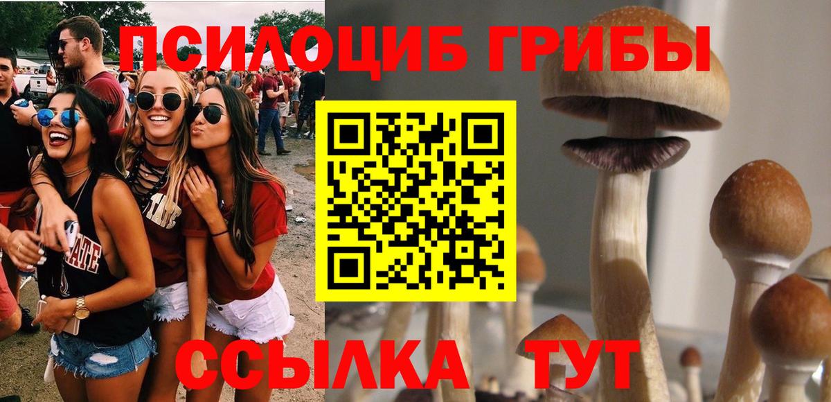 Мытищи  Галлюциногенные грибы мухоморы  что такое наркотик  Вход с VPN 